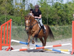 IMG-0553_web